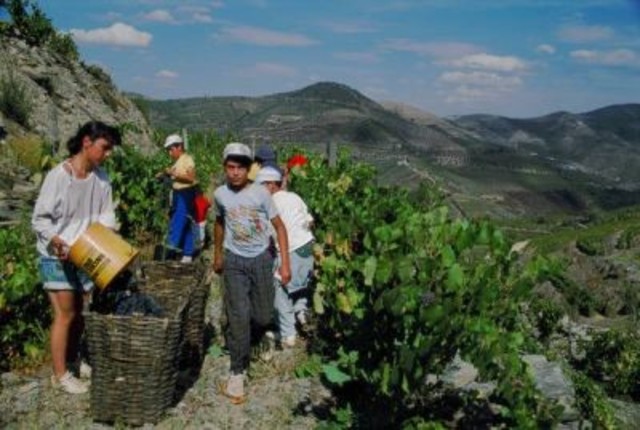 Comienzo de Turismo Rural