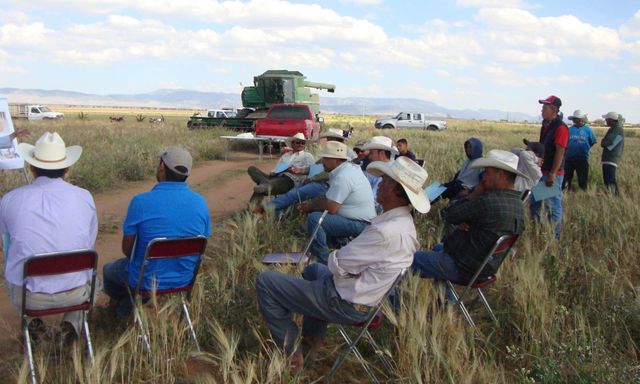 Se inició el Proyecto de Desarrollo de Pequeños Productores Agropecuarios.