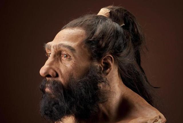 Neanderthalis