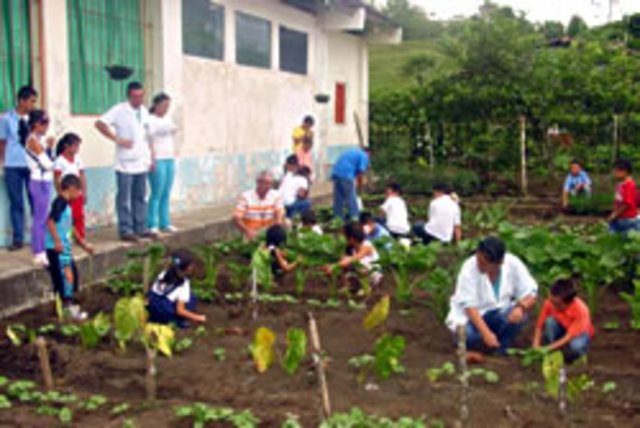 Se crea un sistema educativo para el campo.