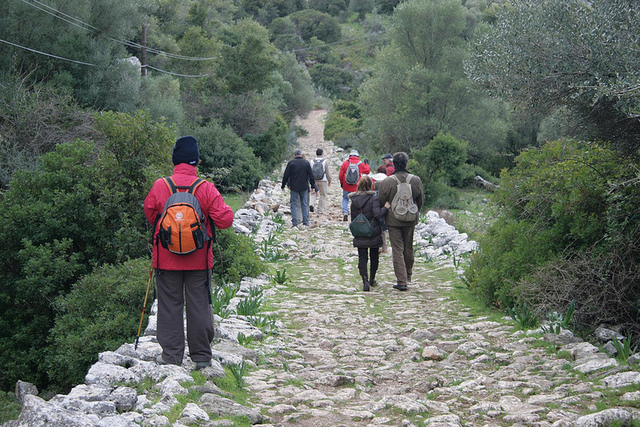 Se crean programas de Desarrollo Integrado de Turismo Rural en Andalucia.