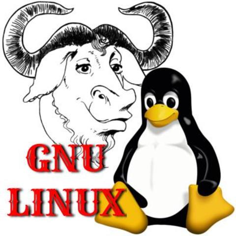 Se trabaja sobre el núcleo Linux