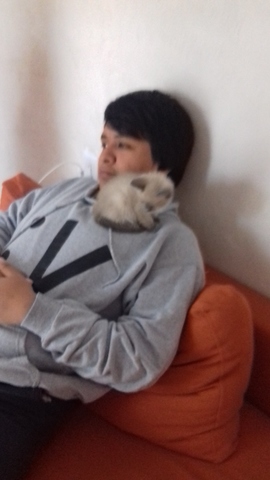 Nacimiento C. Alonso