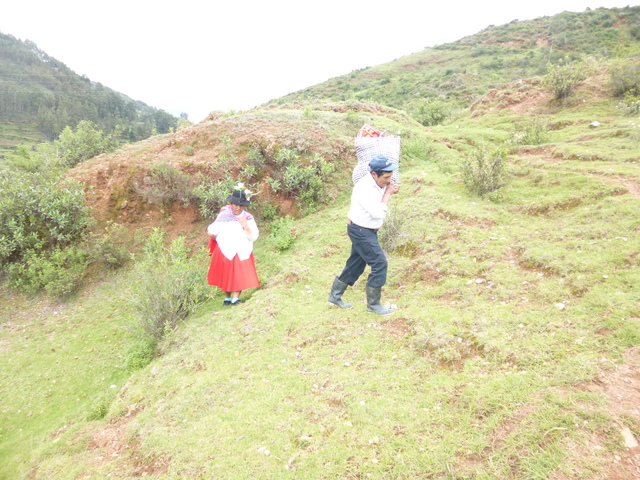 una desgracia en mi familia