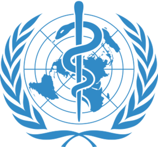 Clasificación Internacional de Deficiencias, Discapacidades y Minusvalías (CIDDM)