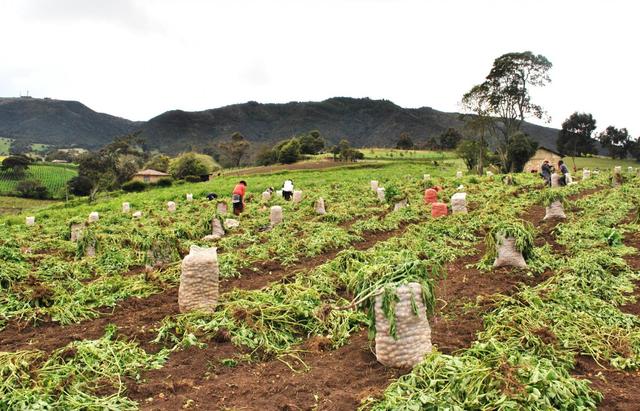 Los gobiernos adecuaron sus políticas hacia una estrategia de desarrollo integrado basado en el enfoque territorial.