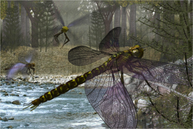 Sistema nervioso en artrópodos