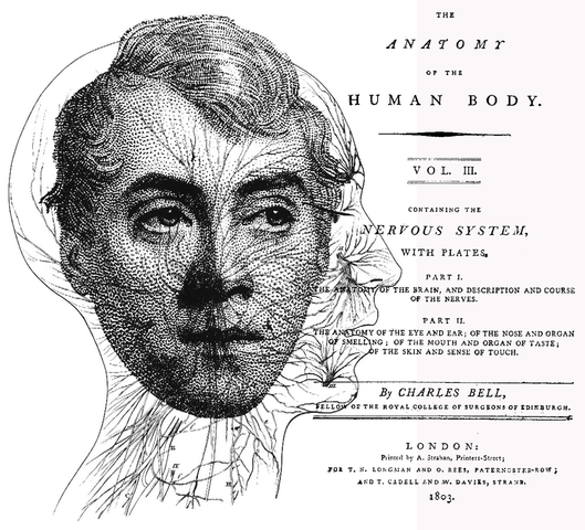 Charles Bell (1774-1842)