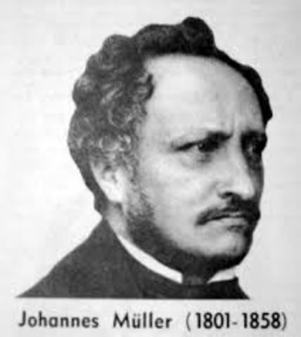 Johannes Müller (1800-1858)