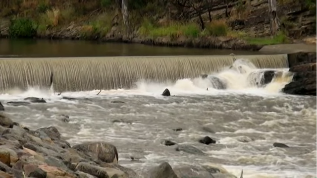 Timber piles were capped by concrete