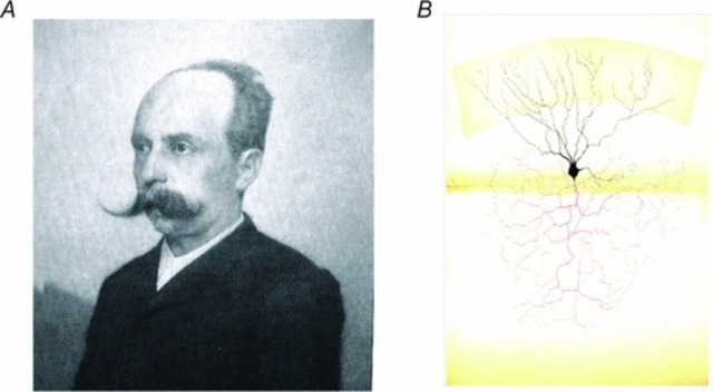 Camilo Golgi (1843-1926)