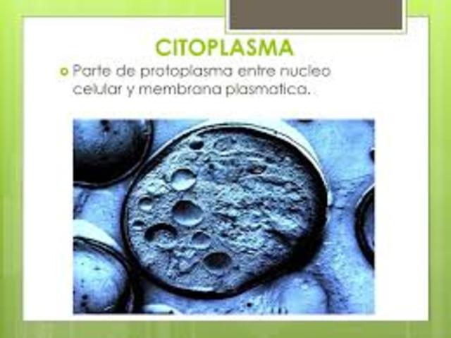 Johannes Purkinaje (medico)