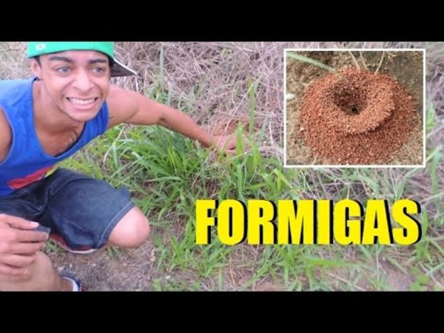 Primeiro vídeo de sucesso.