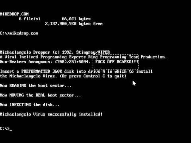 El virus michelangelo aparece por primera vez.