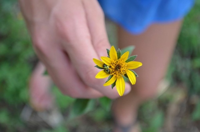 Acontecimiento Importante: 2007