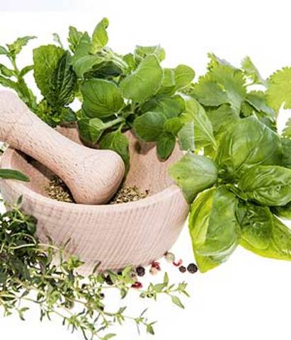 Avance en la medicina