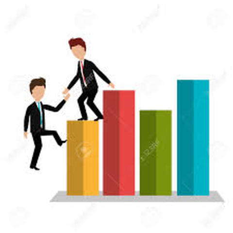 CRECIMIENTO RENTABLE