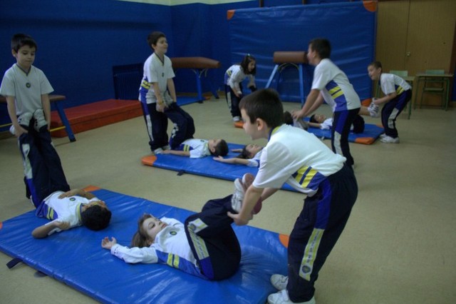 Colegios costeados o subvencionados obligados a enseñar gimnasia
