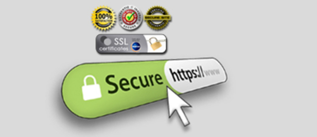 1994 Netscape Navigator