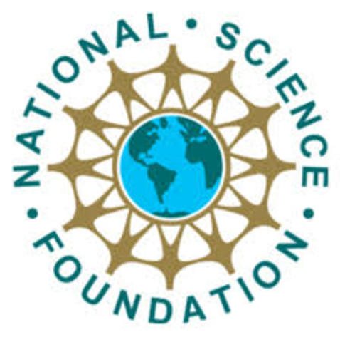 La National Science Foundation (NSF)