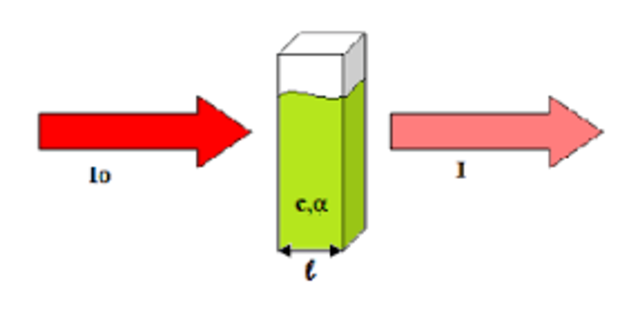 Descubrimiento de la Ley de Lambert- Beer