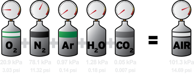 2 of the Many Theories