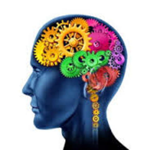 Avances en el año 1989