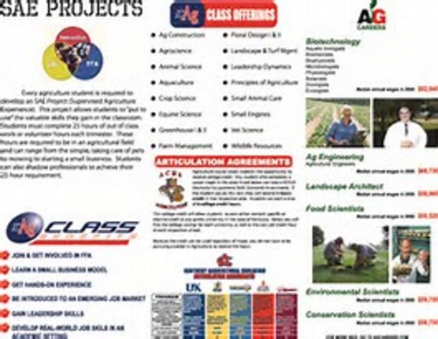 The National FFA Foundation broke the $10 million mark in raising money for FFA programs and services.