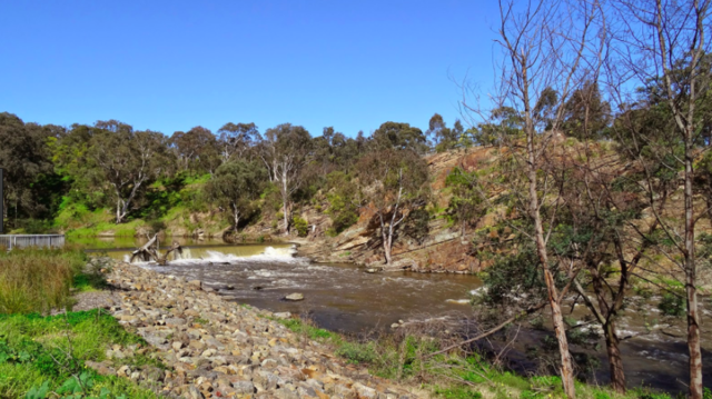 John Dight purchased a block 88