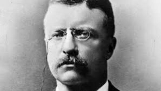 Theodore Roosevelt becomes president