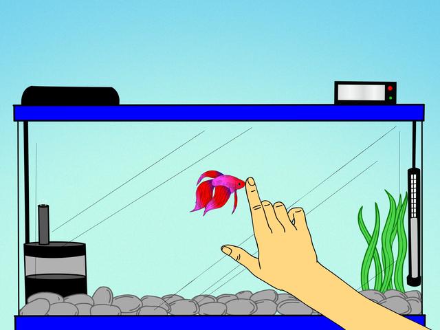 Leandro ganhou uma nova família