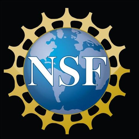 NSF