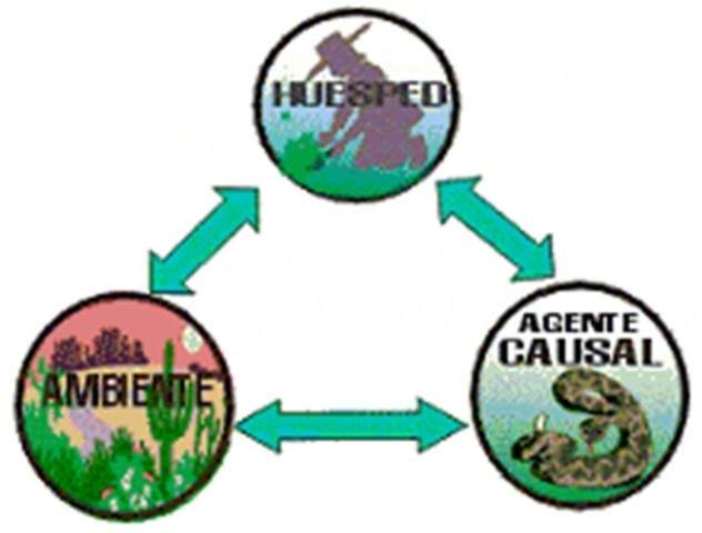 Triada Epidemiológica