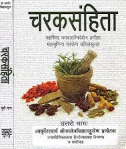 Primer Texto Médico