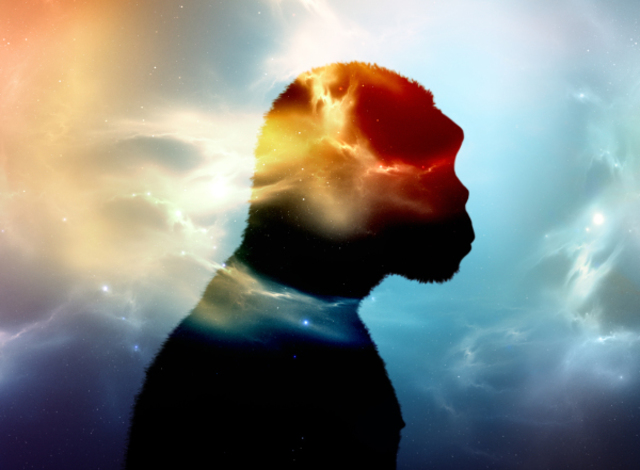 Homínidos y su evolución cerebral