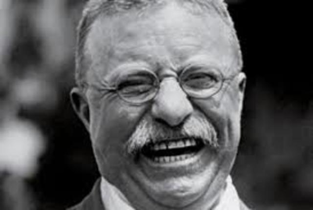 Theodore Roosevelt becomes President