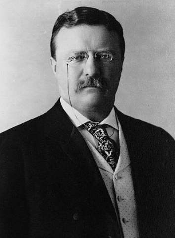 Theodore Roosevelt becomes president