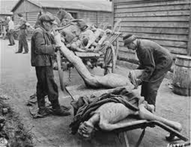 La segunda guerra mundial