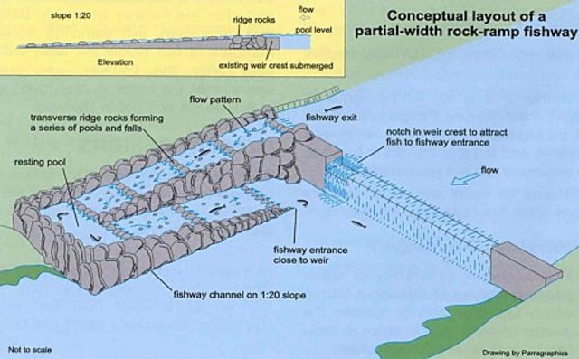Melbourne water realises the weir was a barrier for fish migration