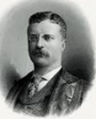 THeodore Roosevlet Becomes president