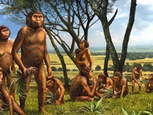 Ardepithecus ramidus (Hominido)