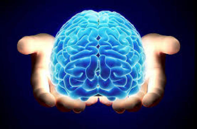 EL SURGIMIENTO DEL PRIMER CEREBRO