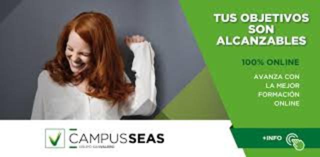 PROGRAMAS DE ESTUDIO DE SEA