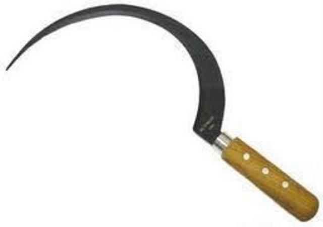 Finding Murder Weapons