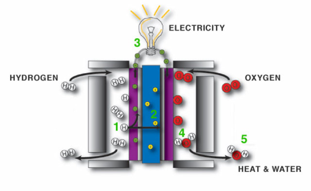 Fuel Cells