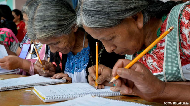 Educación básica de adultos