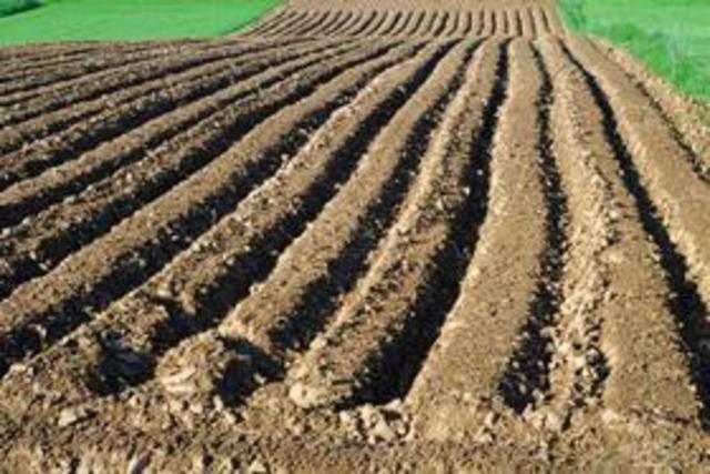 Creación de Guanos y Fertilizantes de México