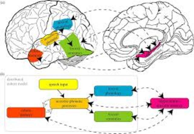 Wearable experience capture for episodic memory support