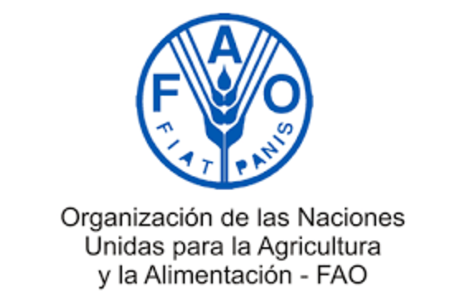 trabaja para la FAO - Organización De Las Naciones Unidas