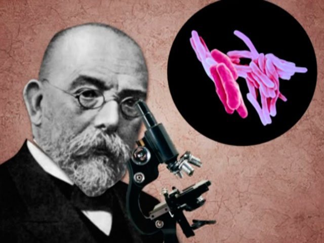 Bacilo de la tuberculosis- Robert Koch